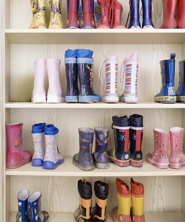 Järkeä ja tunnetta